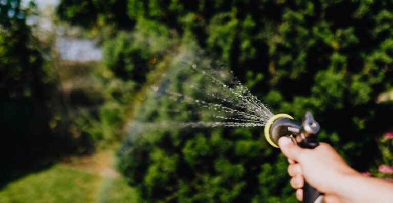 Drought Gardening: Tips and Tricks for Water Conservation | Life's ...