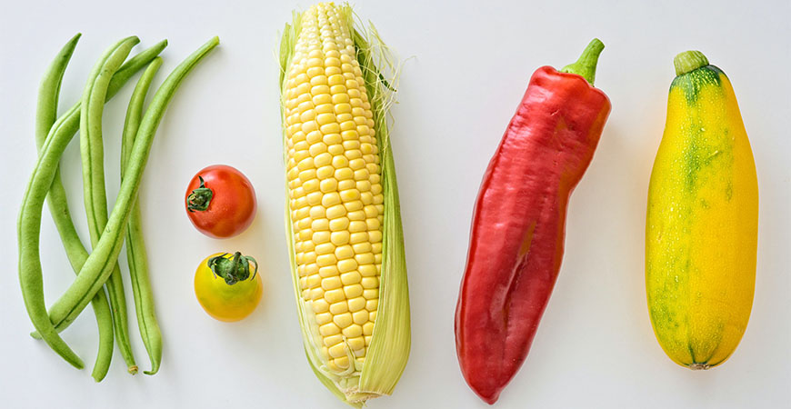 Follow our tips and tricks to vegetable companion gardening.