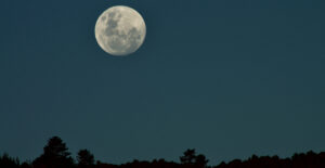 A full moon rises over trees.