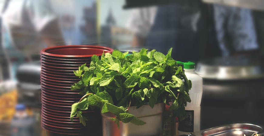 There's nothing quite like fresh mint.