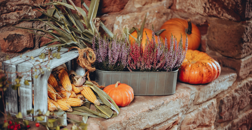 Thanksgiving arrangement with pumpkin, corn, and lavender,