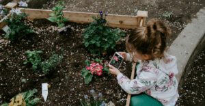 Instead of a bouquet, give your mom an updated flower garden.