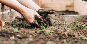 Helping mom's flower beds is a great DIY Mother's Day gift idea.